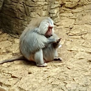 Meet your Posher, Diego g